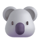🐨