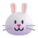 🐰